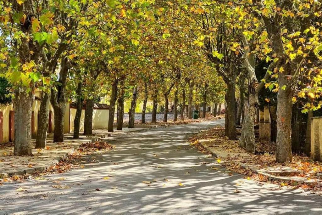 Appartement Chalet Imouzzer du Kandar エクステリア 写真
