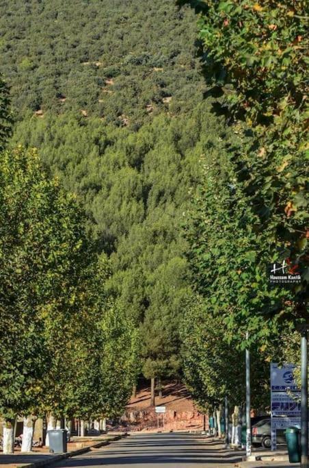 Appartement Chalet Imouzzer du Kandar エクステリア 写真